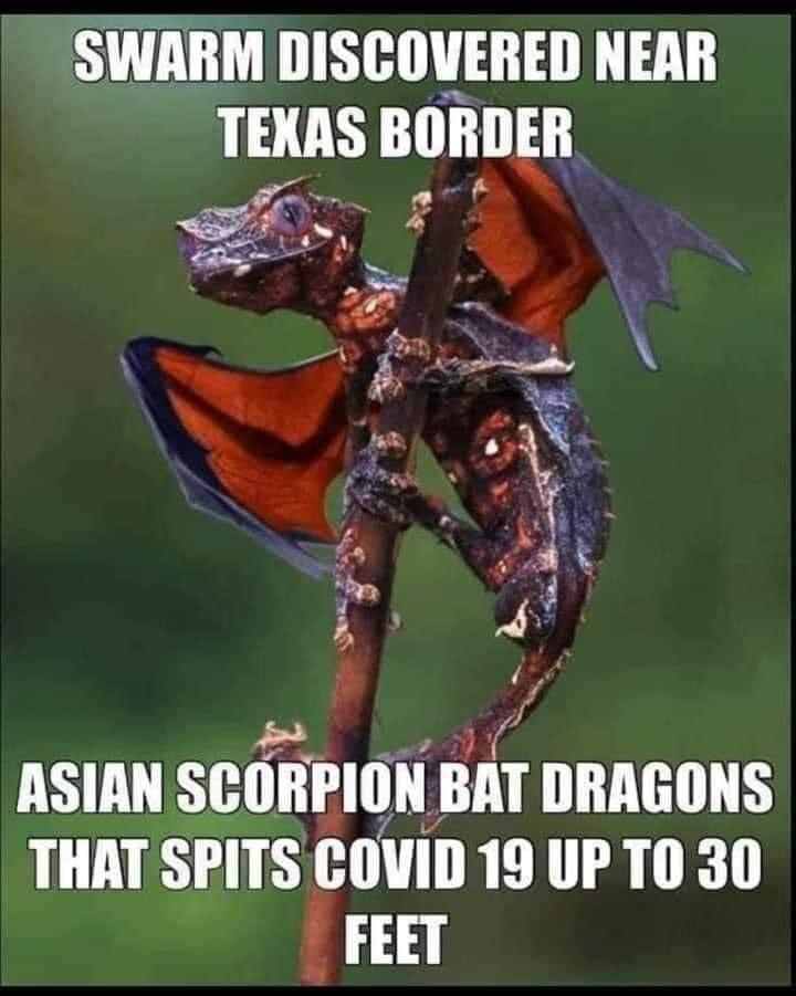 dragon life like - Swarm Discovered Near Texas Border Asian Scorpion Bat Dragons That Spits Covid 19 Up To 30 Feet