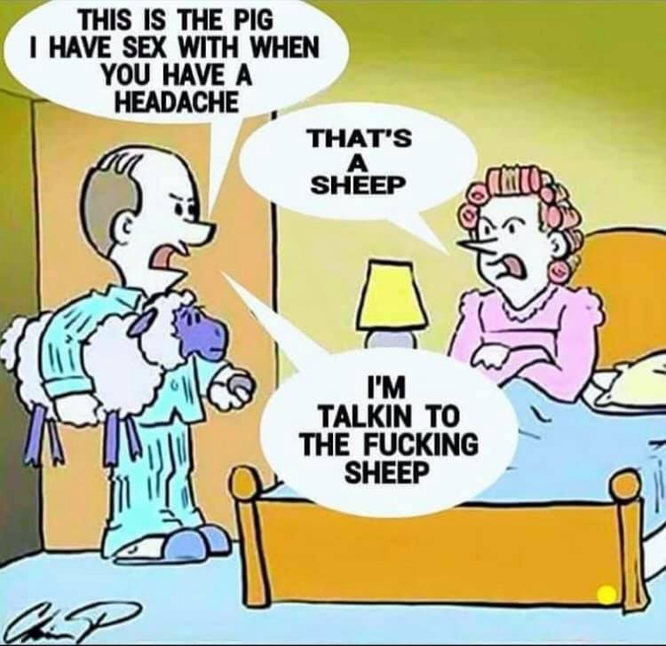 boomer humor - This Is The Pig I Have Sex With When You Have A Headache That'S Sheep I'M Talkin To The Fucking Sheep Op