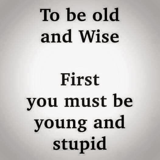 To be old and Wise First you must be young and stupid