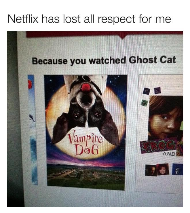 photo caption - Netflix has lost all respect for me Because you watched Ghost Cat Vampire DoG And