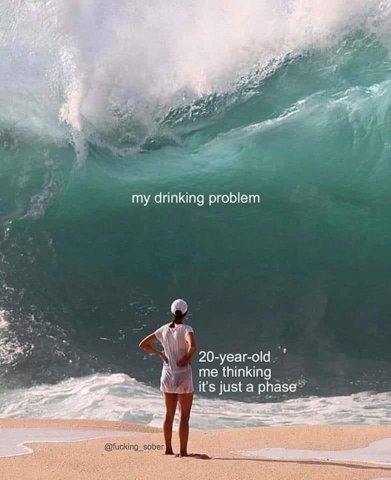meme wave - my drinking problem 20yearold me thinking it's just a phase , sober