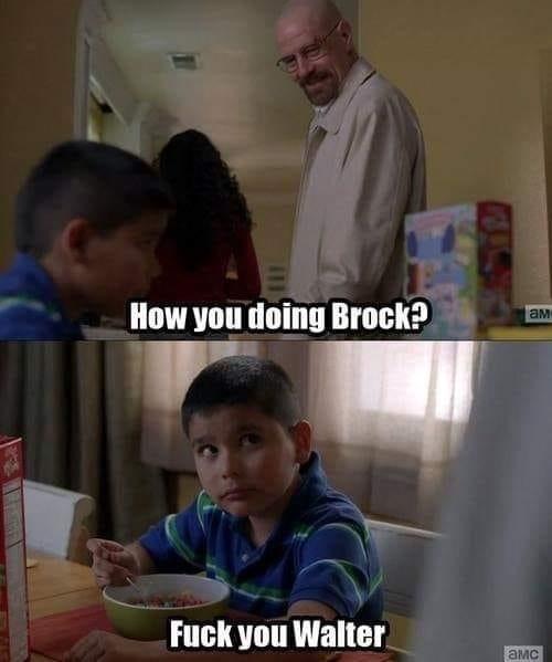 breaking bad brock meme - How you doing Brock? am Fuck you Walter Amc