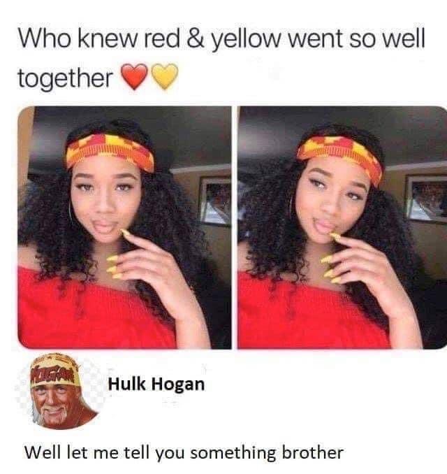 macedonian memes - Who knew red & yellow went so well together Hulk Hogan Well let me tell you something brother