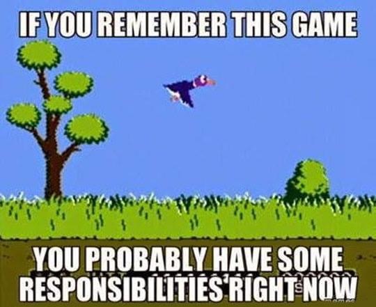 duck hunt - If You Remember This Game > > > You Probably Have Some Responsibilities Right Now