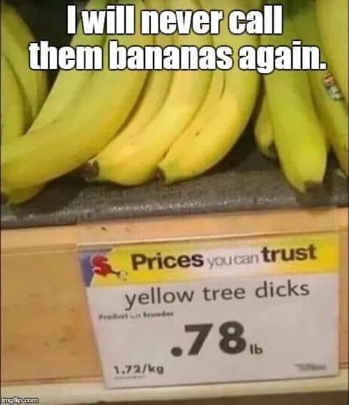 long yellow things - I will never call them bananas again. Prices youcan trust yellow tree dicks 78. 1b 1.72kg prom