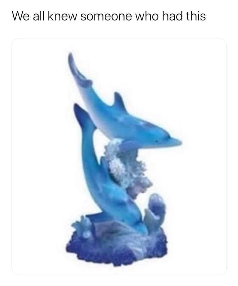 dolphin - We all knew someone who had this