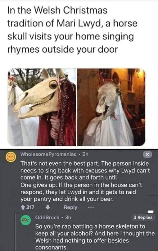 photo caption - In the Welsh Christmas tradition of Mari Lwyd, a horse skull visits your home singing rhymes outside your door WholesomePyromaniac 5h That's not even the best part. The person inside needs to sing back with excuses why Lwyd can't come in. 