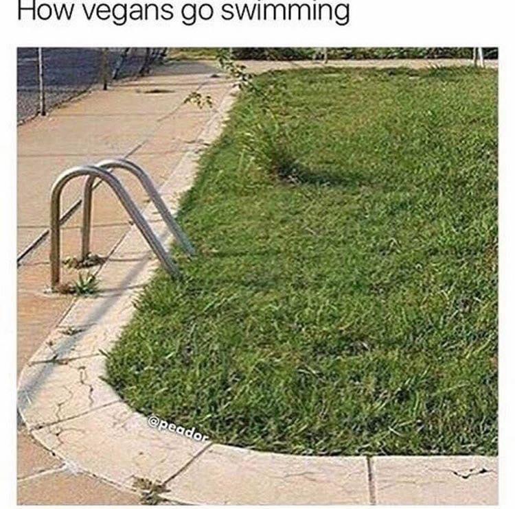 swimming pool filled with grass - How vegans go swimming