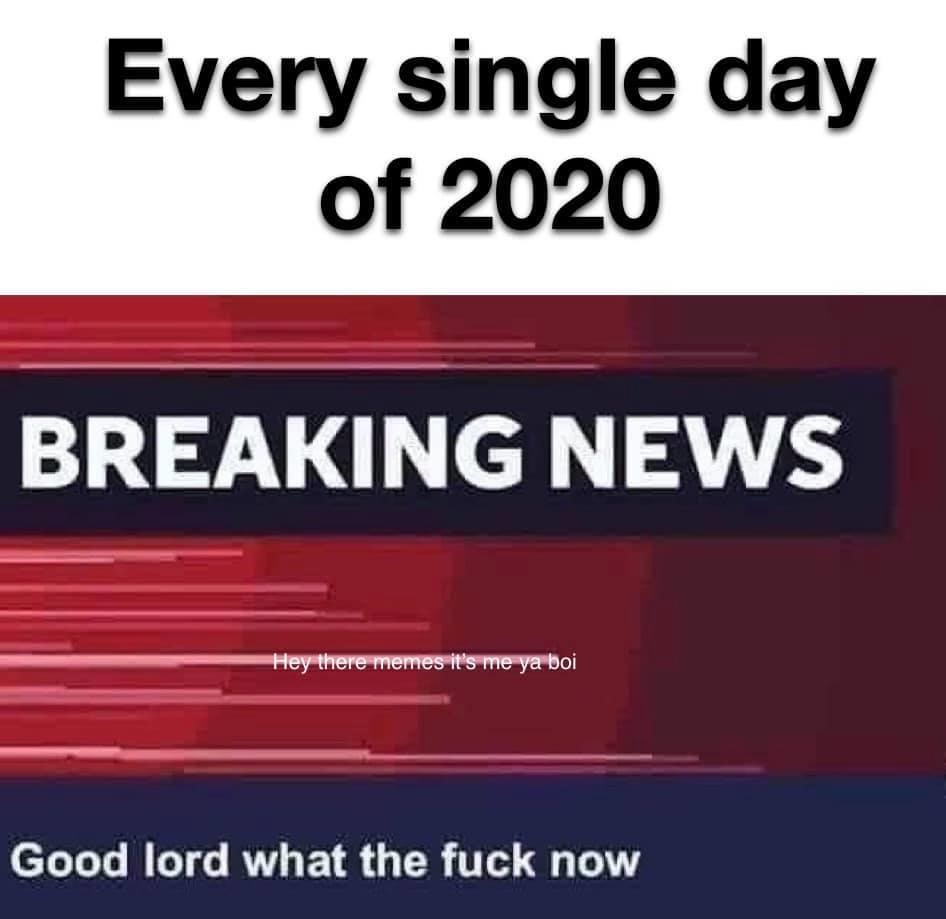 prius negro - Every single day of 2020 Breaking News Hey there memes it's me ya boi Good lord what the fuck now