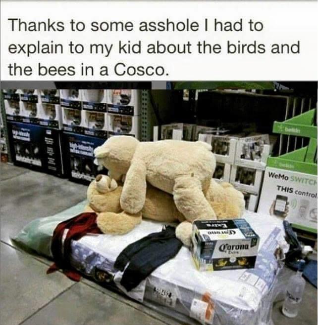 could be us corona meme - Thanks to some asshole I had to explain to my kid about the birds and the bees in a Cosco. WeMo Switch This control Corona