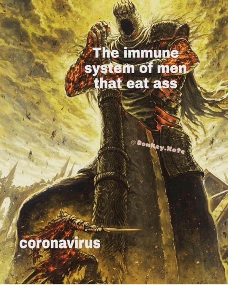 corona virus eating ass - The immune system of men that eat ass @ Donkey.Xote coronavirus