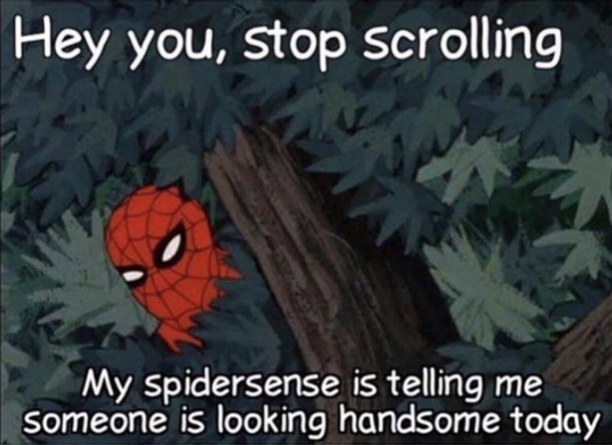 hey stop scrolling meme - Hey you, stop scrolling My Spidersense is telling me someone is looking handsome today