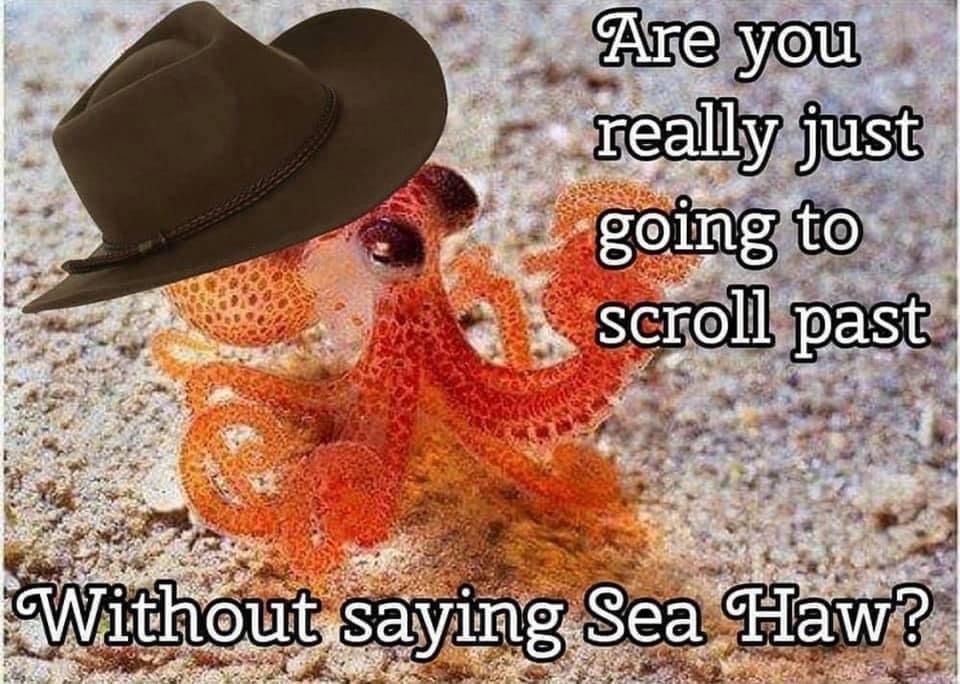 octopus with a top hat - Are you really just going to scroll past Without saying Sea Haw?