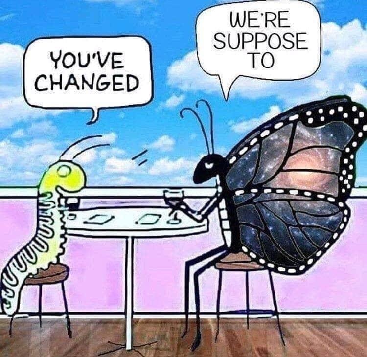 caterpillar and butterfly you ve changed - We'Re Suppose To You'Ve Changed phonan