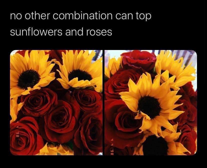 Love - no other combination can top sunflowers and roses 4 4 98 4 4 98