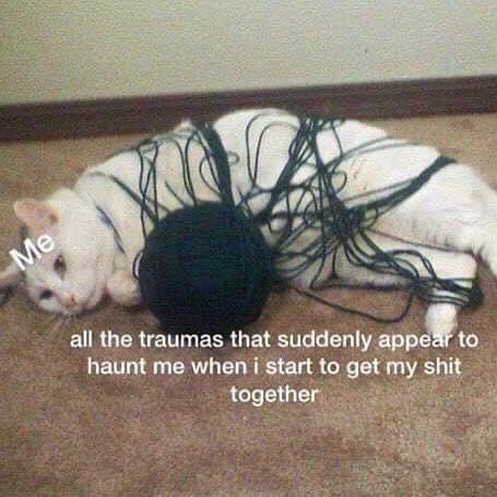 cat venom meme - Me all the traumas that suddenly appear to haunt me when i start to get my shit together