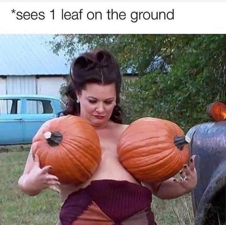 see one leaf pumpkin meme - sees 1 leaf on the ground