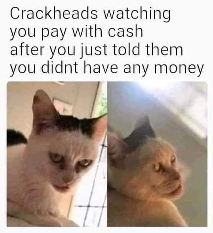 mr snowflake cat meme - Crackheads watching you pay with cash after you just told them you didnt have any money
