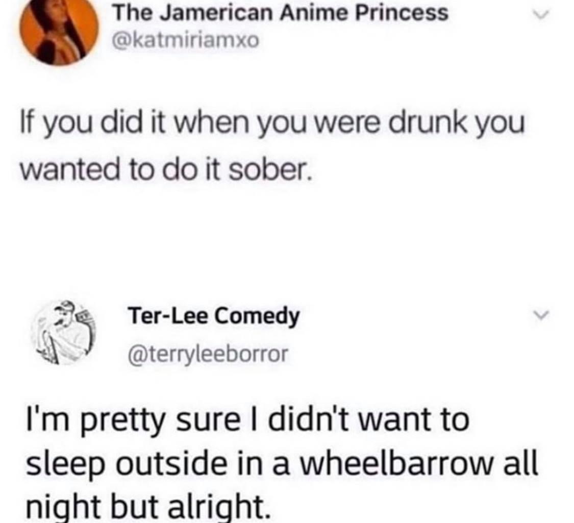 midwest memes - The Jamerican Anime Princess If you did it when you were drunk you wanted to do it sober. TerLee Comedy I'm pretty sure I didn't want to sleep outside in a wheelbarrow all night but alright.
