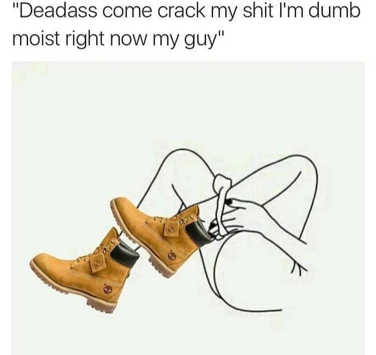 crack my shit meme - "Deadass come crack my shit I'm dumb moist right now my guy"