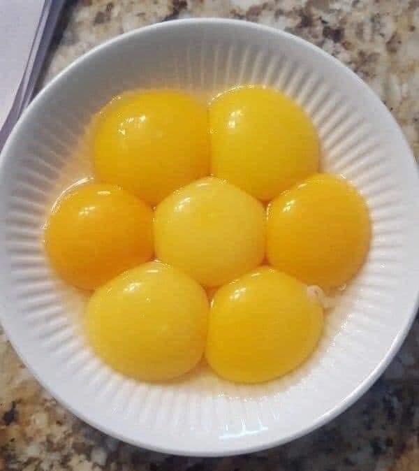 egg yolks arranged perfectly