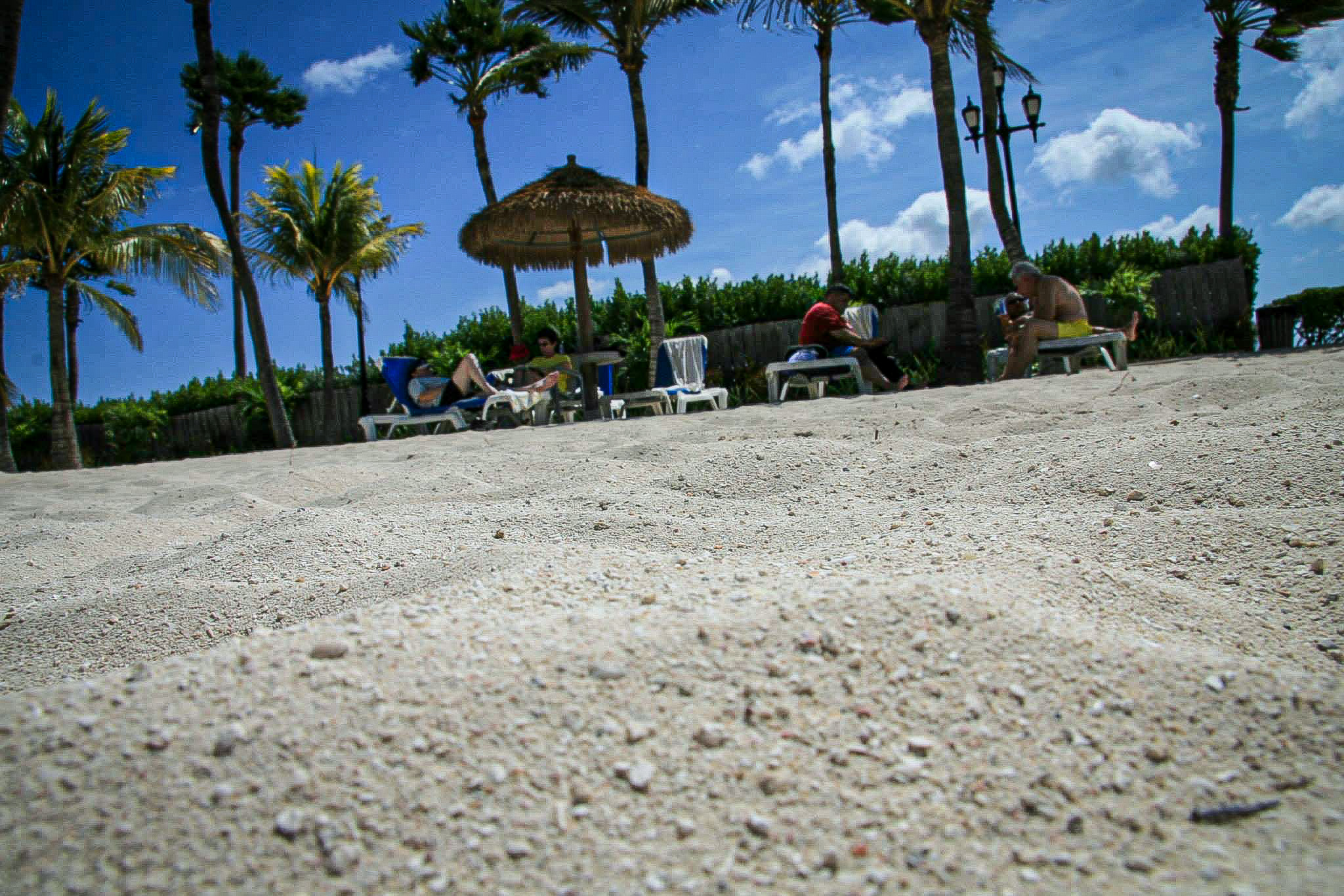 Crabs View - Oranjestad Aruba 2012