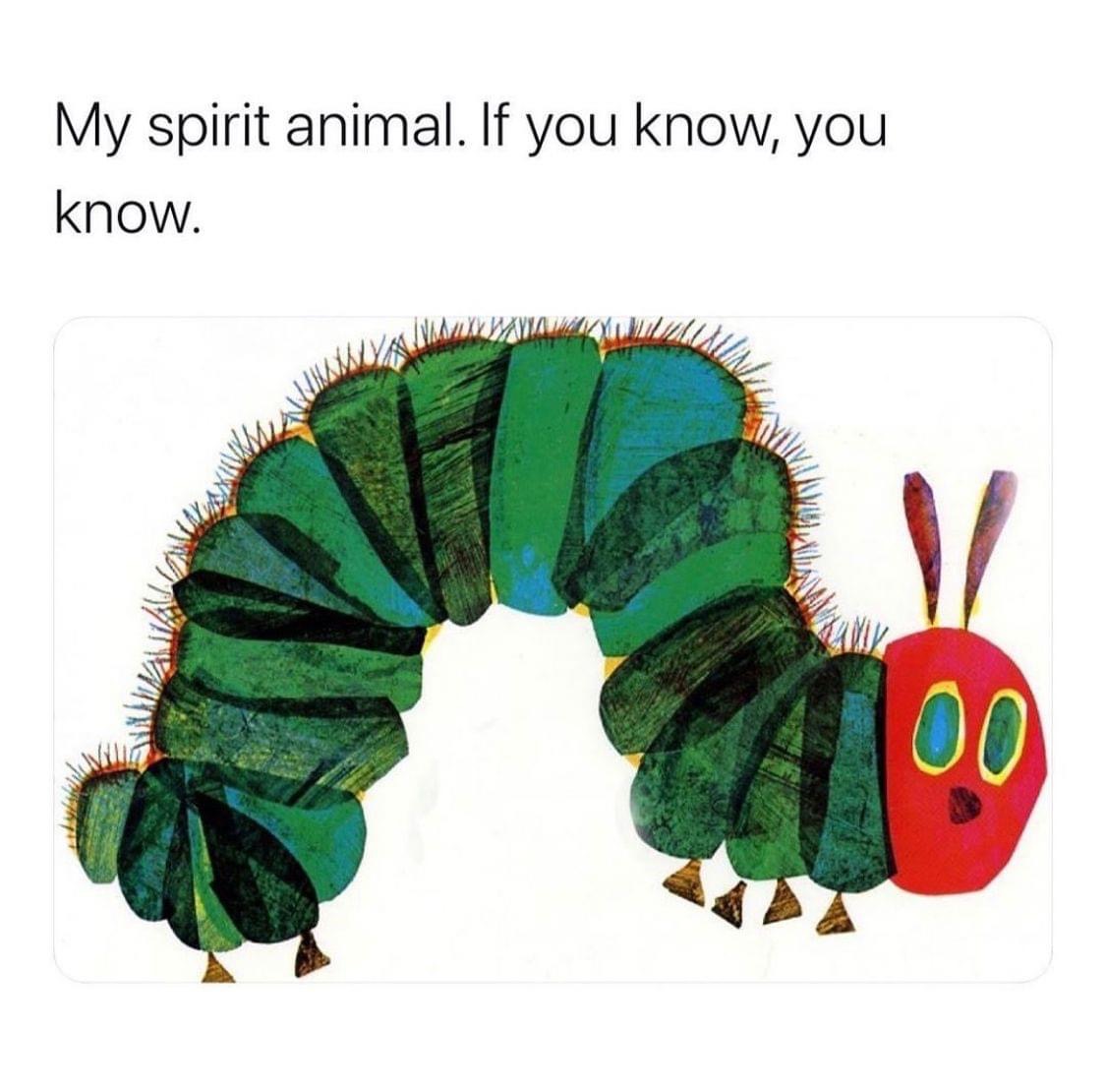 very hungry caterpillar book - My spirit animal. If you know, you know. 00