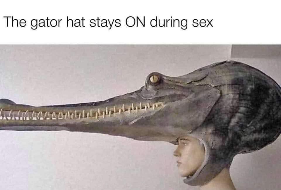 gator hat stays on during sex - The gator hat stays On during sex Illus