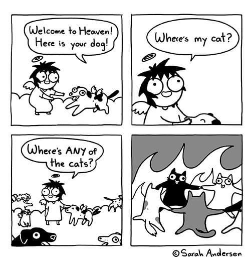 Sarah's Scribbles - Welcome to Heaven! Here is your dog! Where's my cat? Where's Any of the cats? Sarah Andersen