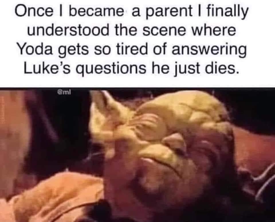 now that i have children i understand - Once I became a parent I finally understood the scene where Yoda gets so tired of answering Luke's questions he just dies.