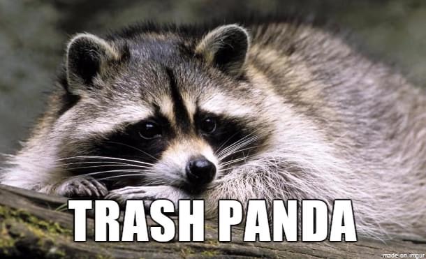 alternate animal names - Trash Panda made on Imgur