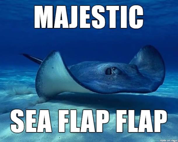 water - Majestic Sea Flap Flap made on imgur