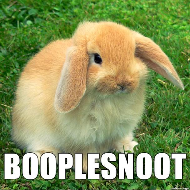 new names for animals - Booplesnoot made on agur