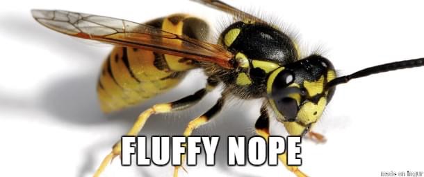 fluffy nope - Fluffy Nope