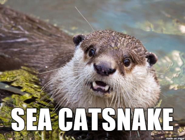 animal meme names - Sea Catsnake made on imgur