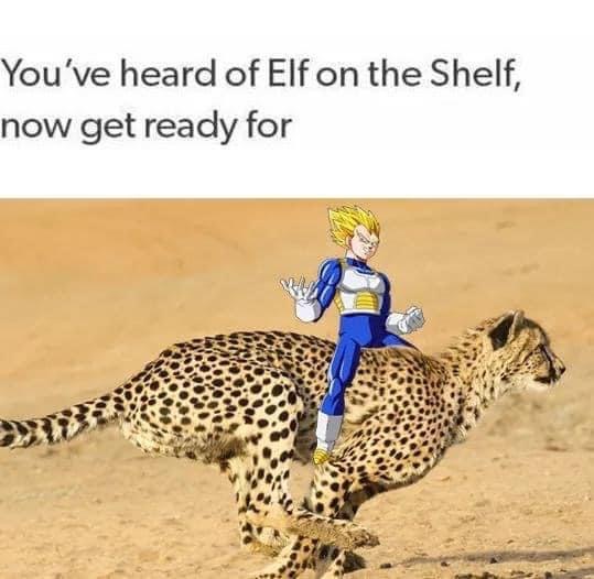 you ve heard of elf on a shelf memes - You've heard of Elf on the Shelf, now get ready for
