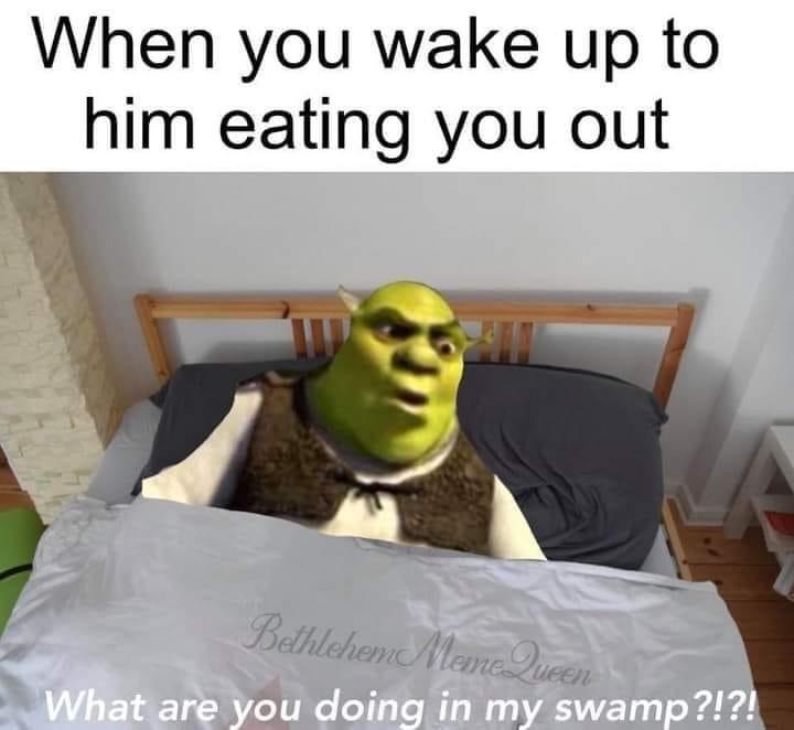 waking up to him eating you out meme - When you wake up to him eating you out Bethlehem Mene Queen What are you doing in my swamp ?!?!