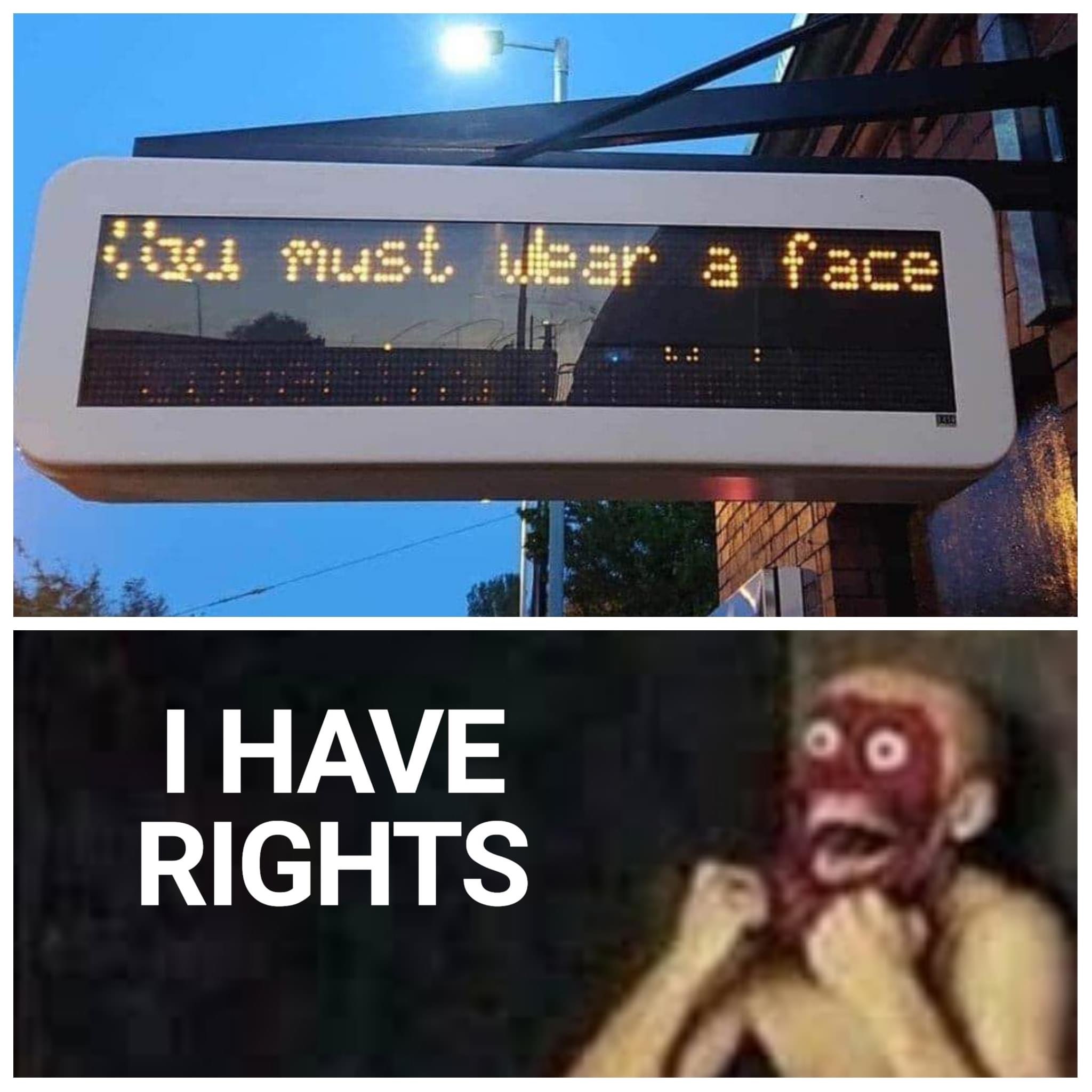 Internet meme - Must wear a face I Have Rights