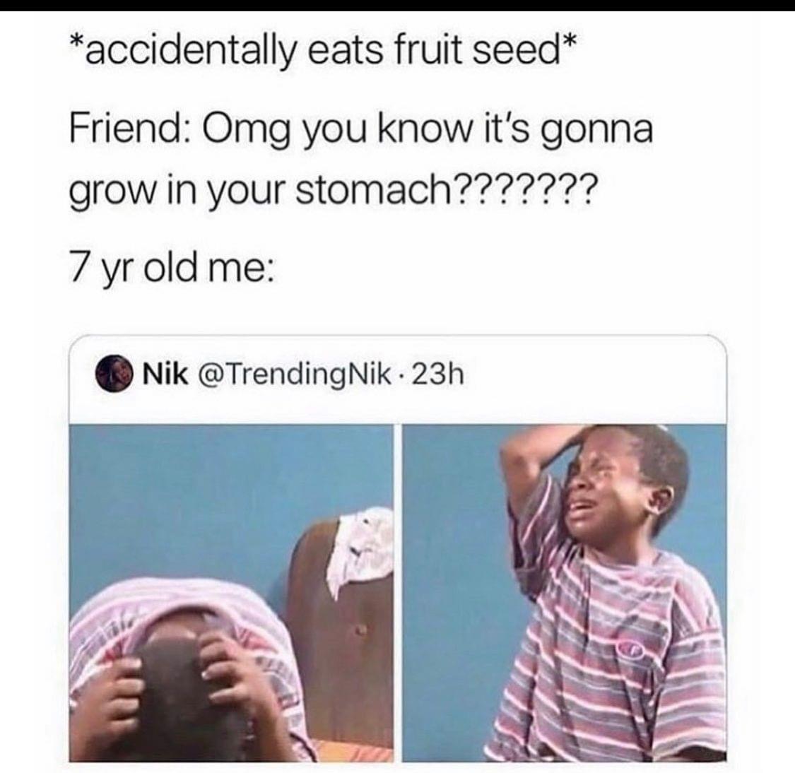 accidentally eats fruit seed meme - accidentally eats fruit seed Friend Omg you know it's gonna grow in your stomach??????? 7 yr old me Nik Nik. 23h al.