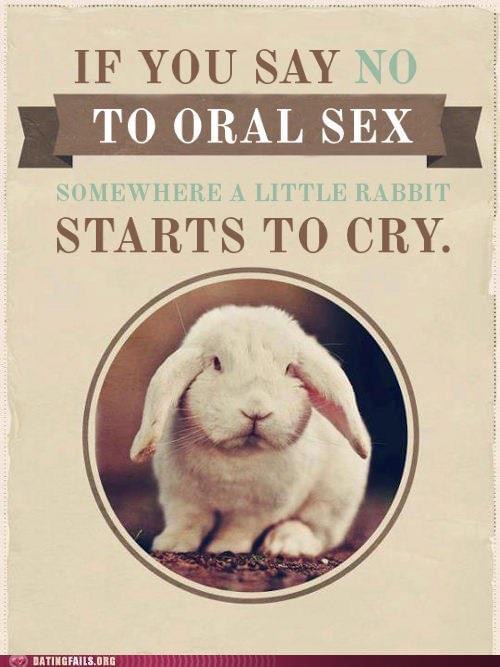 you say no to oral sex - If You Say No To Oral Sex Somewhere A Little Rabbit Starts To Cry. Datingfails.Org