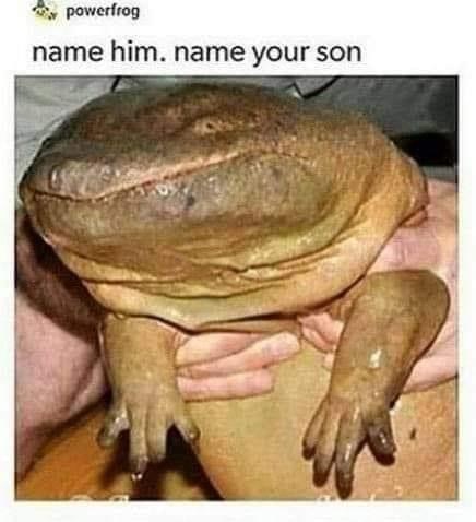 name him name your son - powerfrog name him. name your son