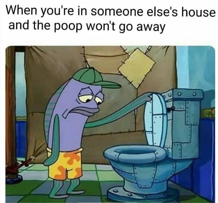 you are in someone else house - When you're in someone else's house and the poop won't go away