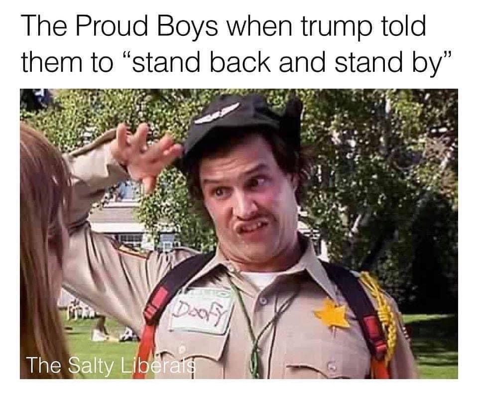officer doofy - The Proud Boys when trump told them to stand back and stand by" Doofy The Salty Liberals