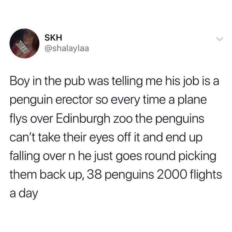 devil works hard but jesus works harder chik fil a - Skh 2011 Boy in the pub was telling me his job is a penguin erector so every time a plane flys over Edinburgh zoo the penguins can't take their eyes off it and end up falling over n he just goes round p
