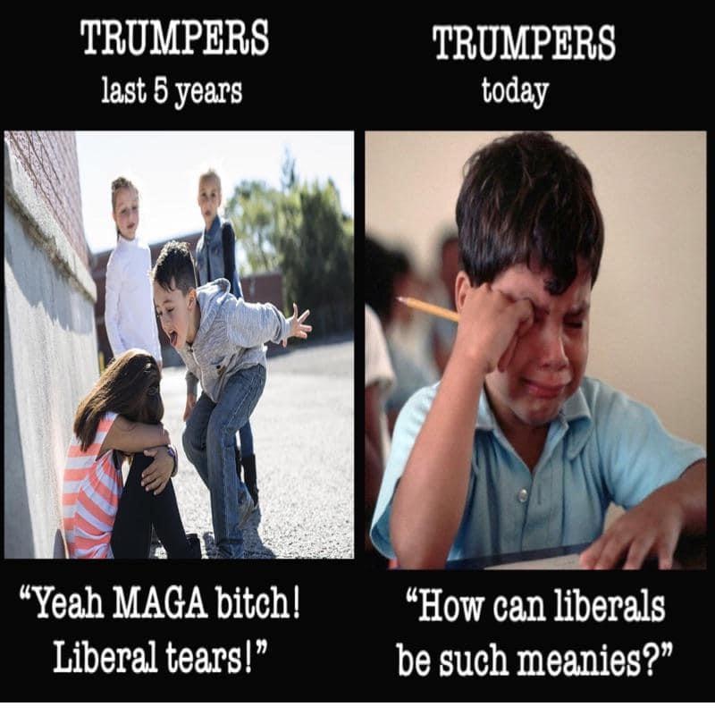 photo caption - Trumpers Trumpers today last 5 years "Yeah Maga bitch! Liberal tears!" "How can liberals be such meanies?"