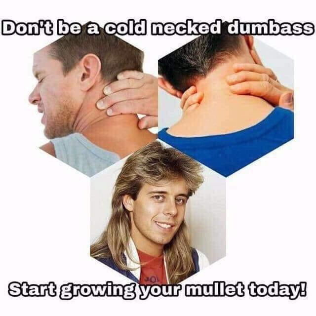 don t be a cold necked dumbass meme - Don't be a cold necked dumbass Start growing your mullet today!