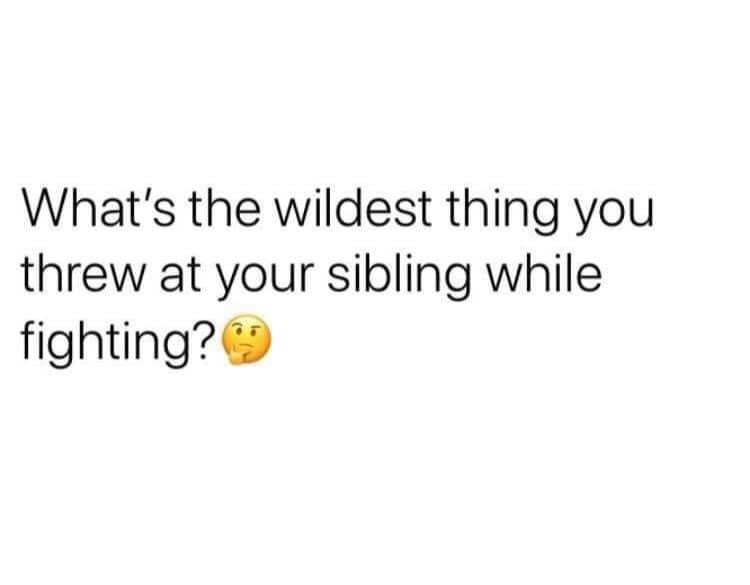 document - What's the wildest thing you threw at your sibling while fighting?