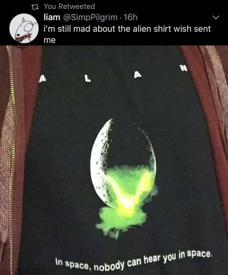 space nobody can hear you in space - In space, nobody can hear you in space. 17 You Retweeted liam . 16h i'm still mad about the alien shirt wish sent me L A