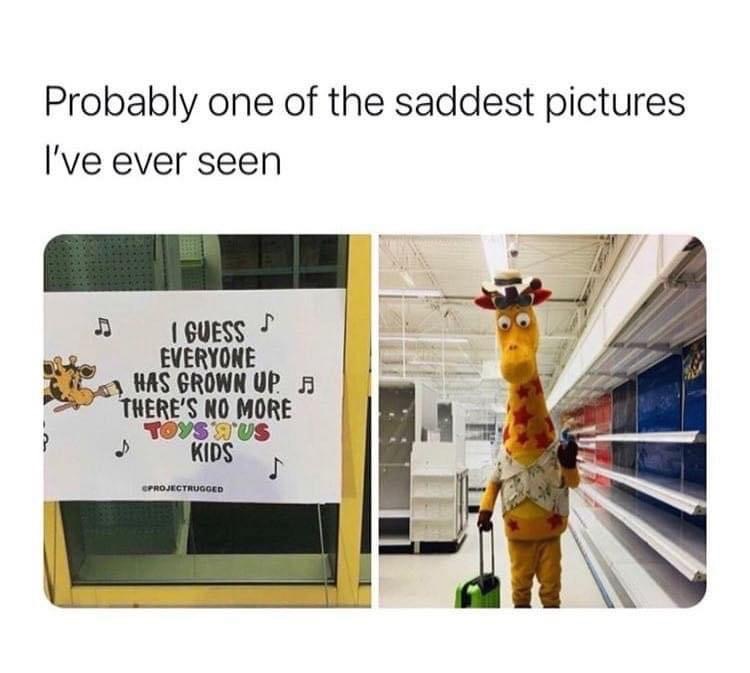 giraffe leaving toys r us - Probably one of the saddest pictures I've ever seen I Guess s Everyone Has Grown Up. A There'S No More Toys Q'Us Kids Cprojectrugged