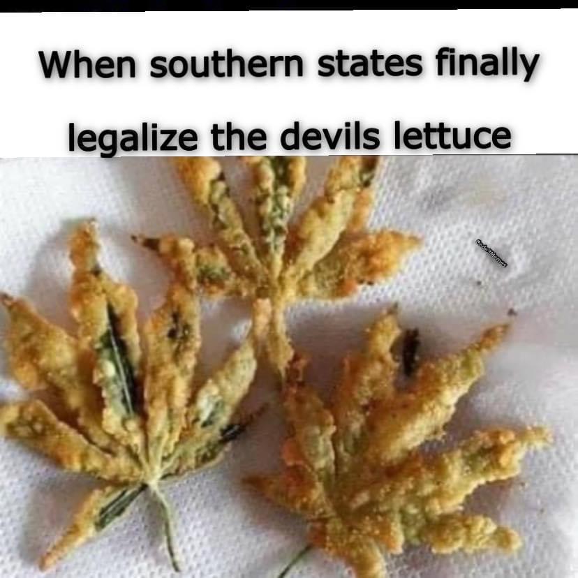 fried weed - When southern states finally legalize the devils lettuce